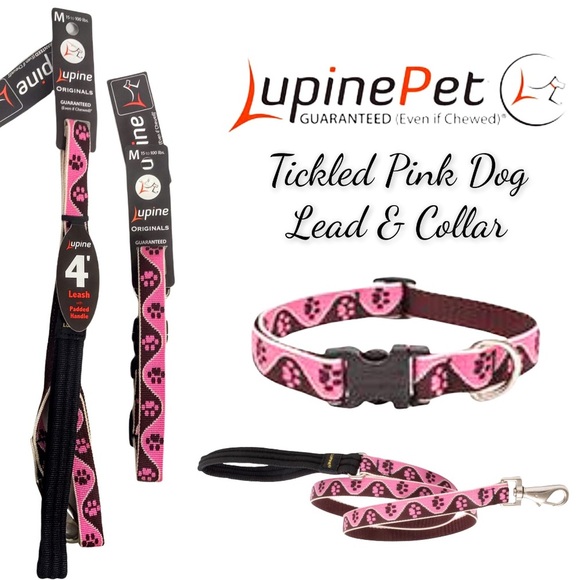 NWT Lupine Pet Dog Collar & Lead - Tickled Pink - Picture 16 of 16